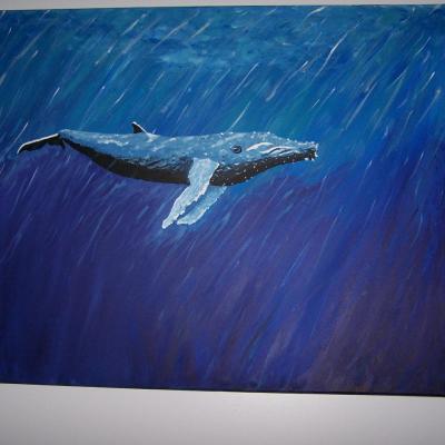 Baleine à bosse  $125.00