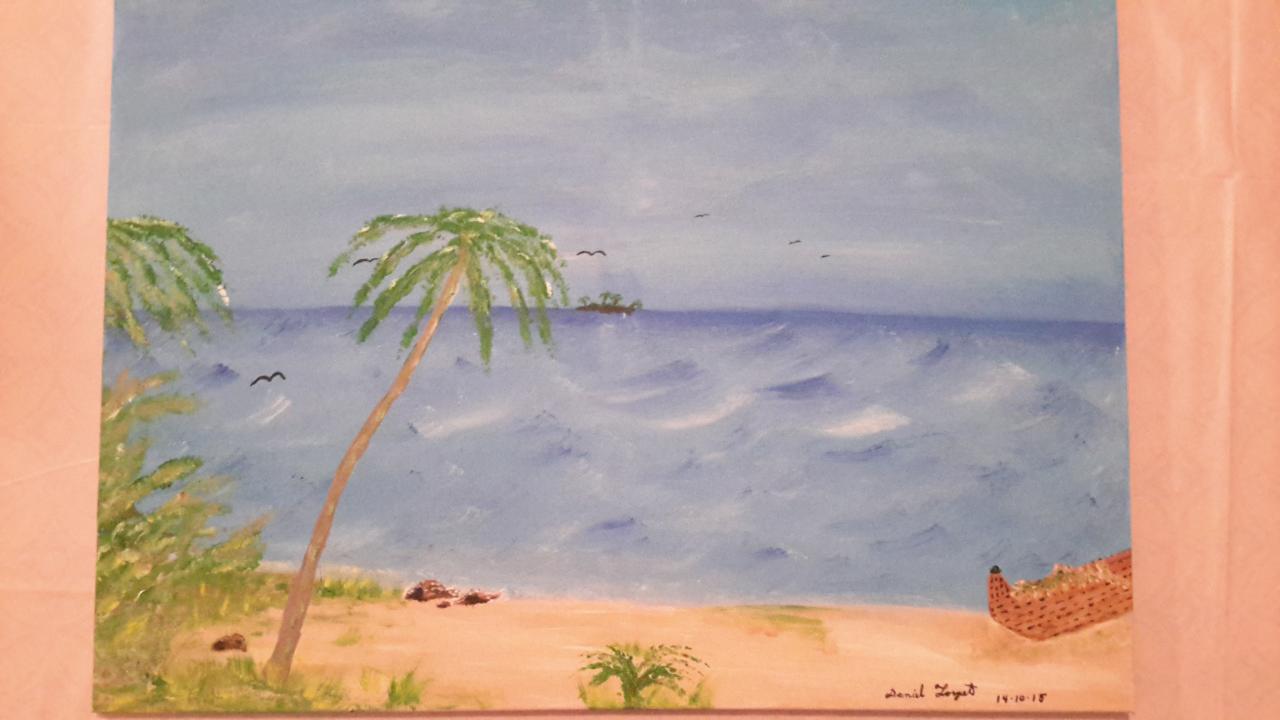 plage du sud $95.00